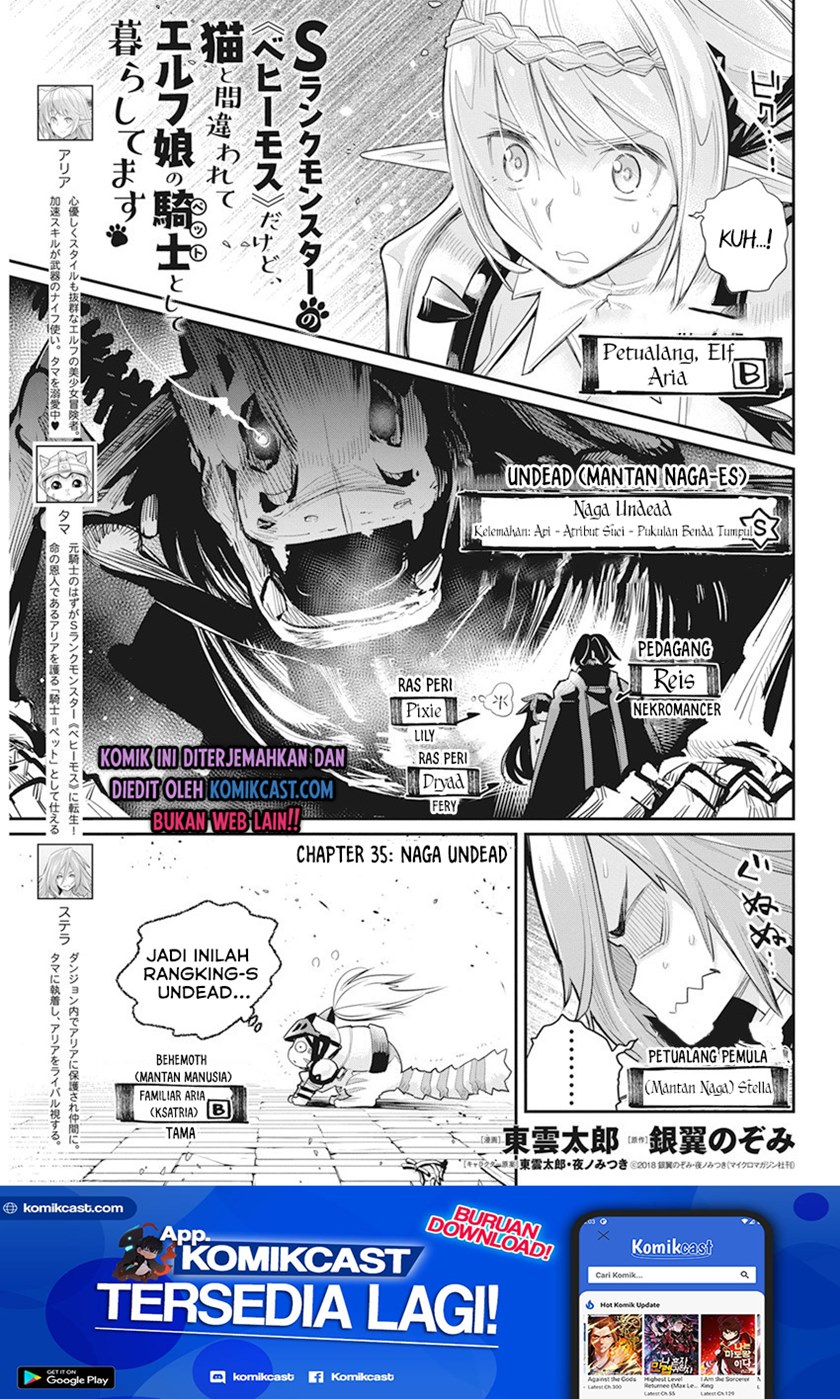 S-Rank Monster no Behemoth Dakedo, Neko to Machigawarete Erufu Musume no Kishi (Pet) Toshite Kurashitemasu Chapter 35 Gambar 2